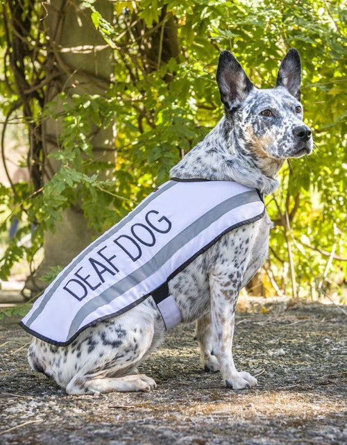 Load image into Gallery viewer, Deaf Dog White Warm Dog Coats S M M L L XL Waterproof Reflective Fleece Lined Prevents Accidents by Warning Others of Your Dog in Advance (M-L Back 17" (43Cm)
