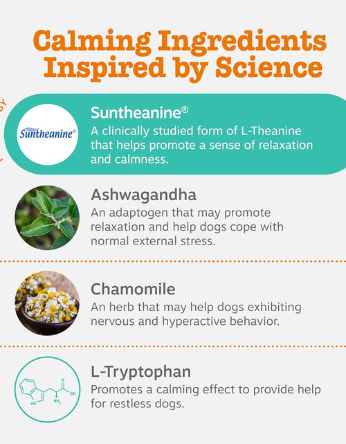 Load image into Gallery viewer, Calming Orastix for Dogs - Dental Sticks for Stress and Anxiety Relief with Hemp Melatonin Chamomile Dog Tartar Teeth Cleaning Calm Composure for Fireworks and Thunderstorms

